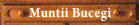 Vizitati Muntii Bucegi
