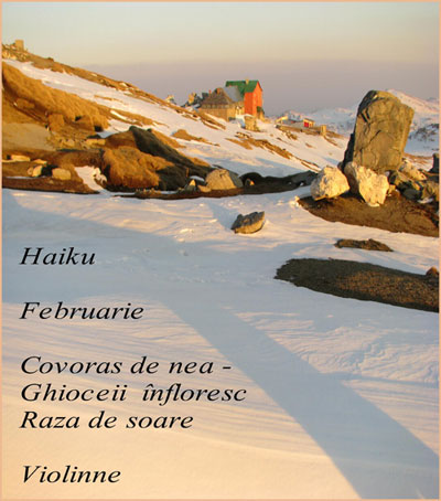 Haiku Februarie