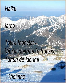 Haiku Iarnă