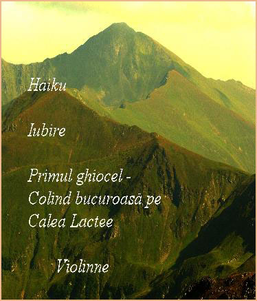 Haiku Iubire