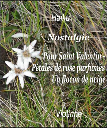 Haiku Nostalgie