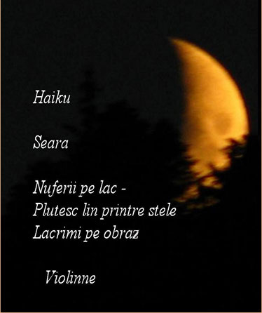 Haiku Iubire