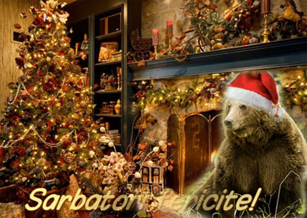 Happy Holidays