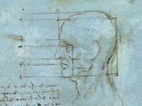 Leonardo da Vinci, Proportions of the Head