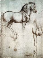 Leonardo da Vinci, Study of horse