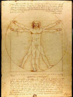 Leonardo da Vinci, Vitruve Luc Viatour