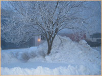 L'hiver